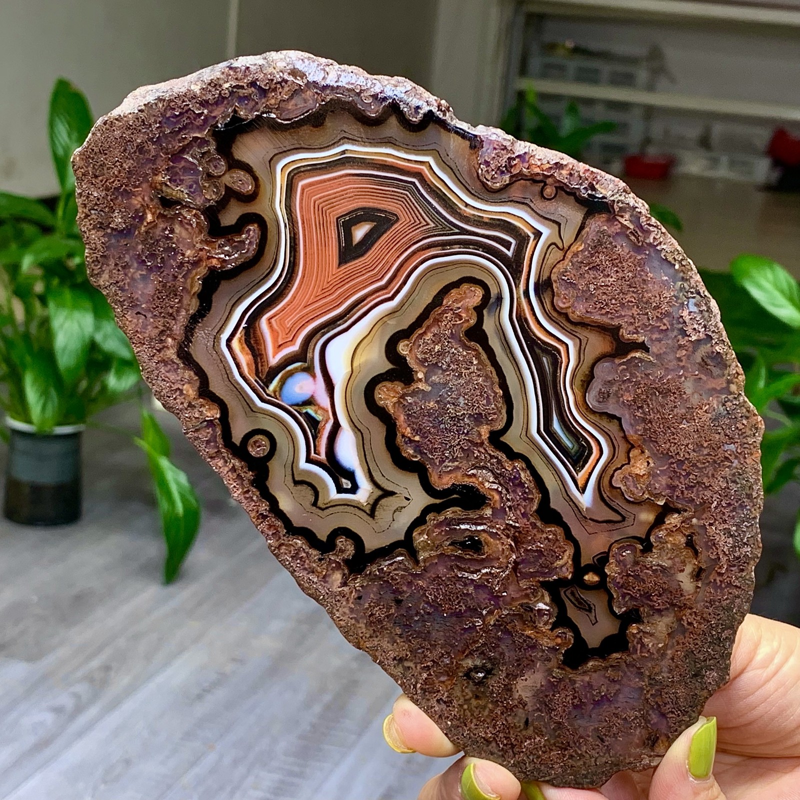 1.1LB NaturalRedStripeAgateSliceQuartzCrystal Hand-cut Slab Ore SpecimenHealing