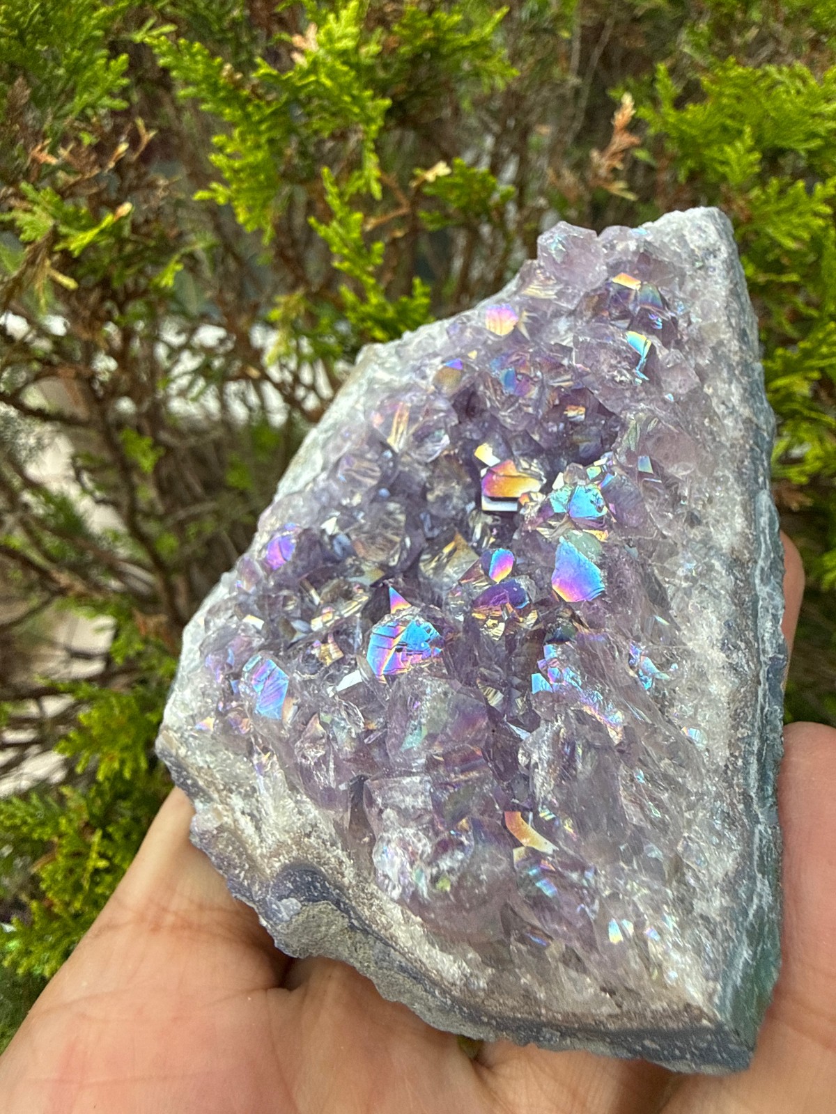Amethyst Titanium Aura Crystal cluster rough raw Healing confidence Flashes