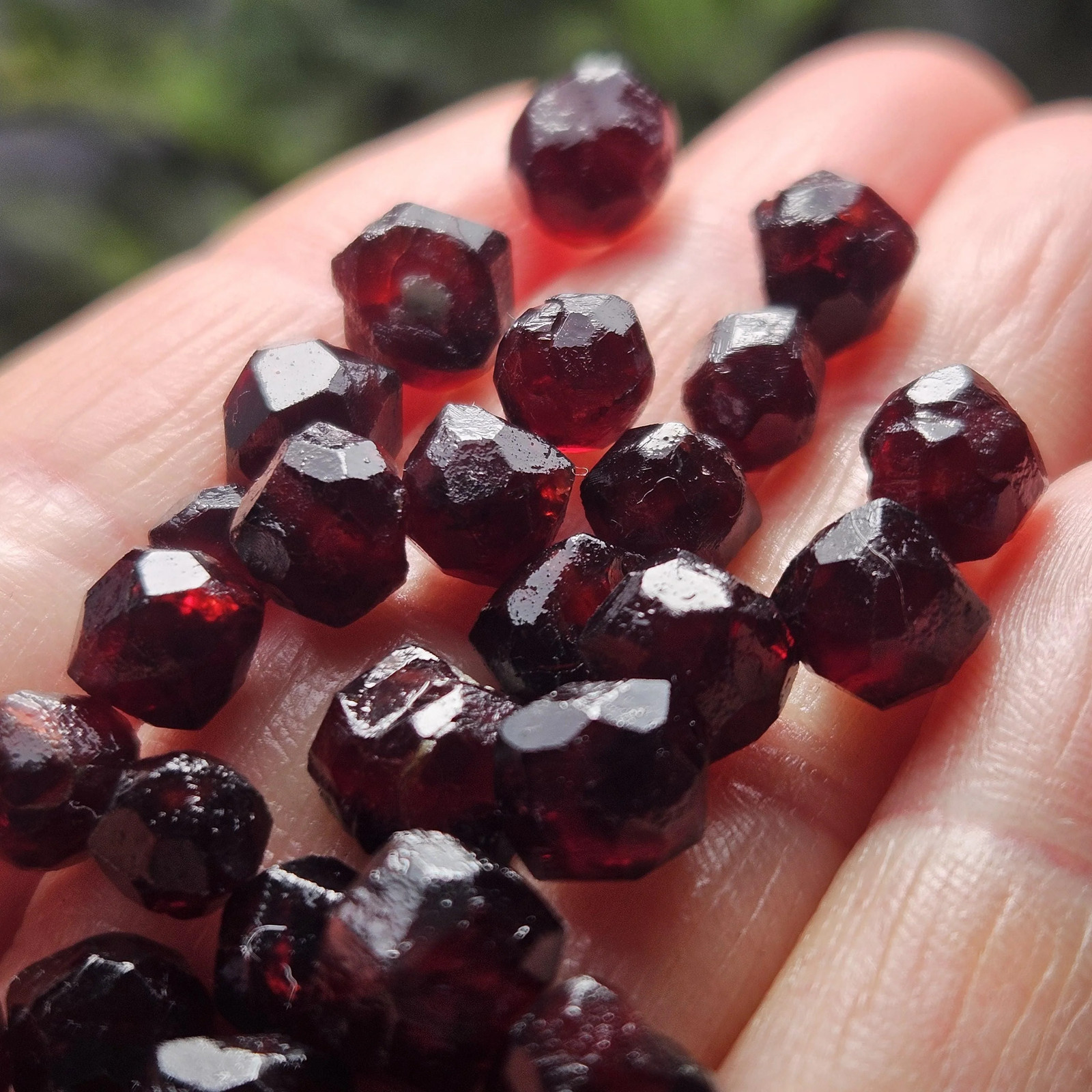 Red Garnet Crystals, Raw Dodecahedron Terminated Stones (5