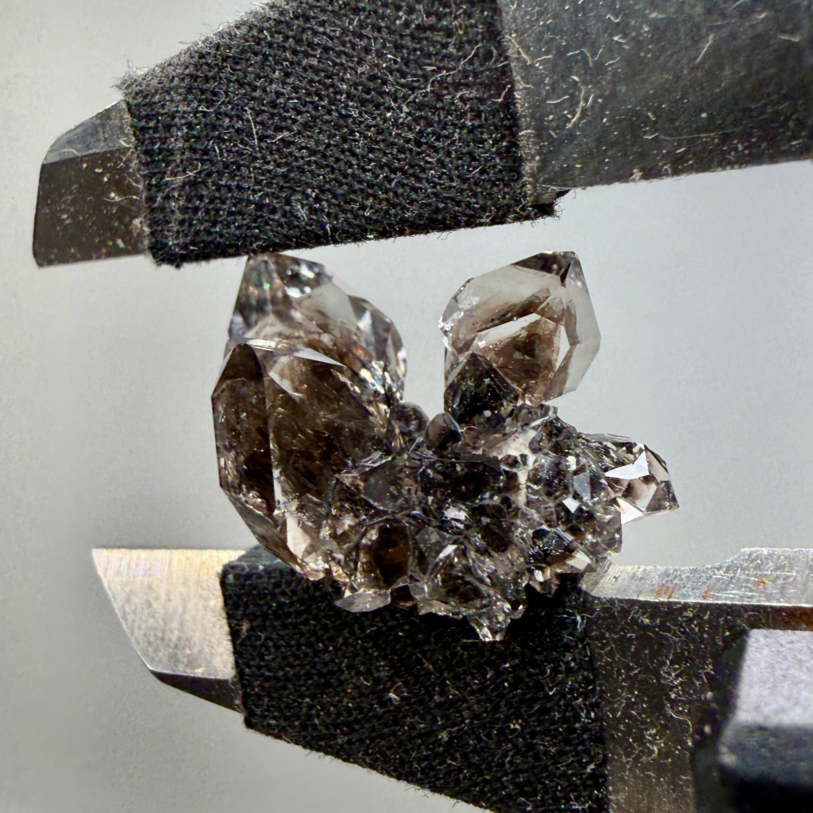 Herkimer Diamond Gems Perched on Druzy Matrix, Complete Floater, Top Shelf Piece