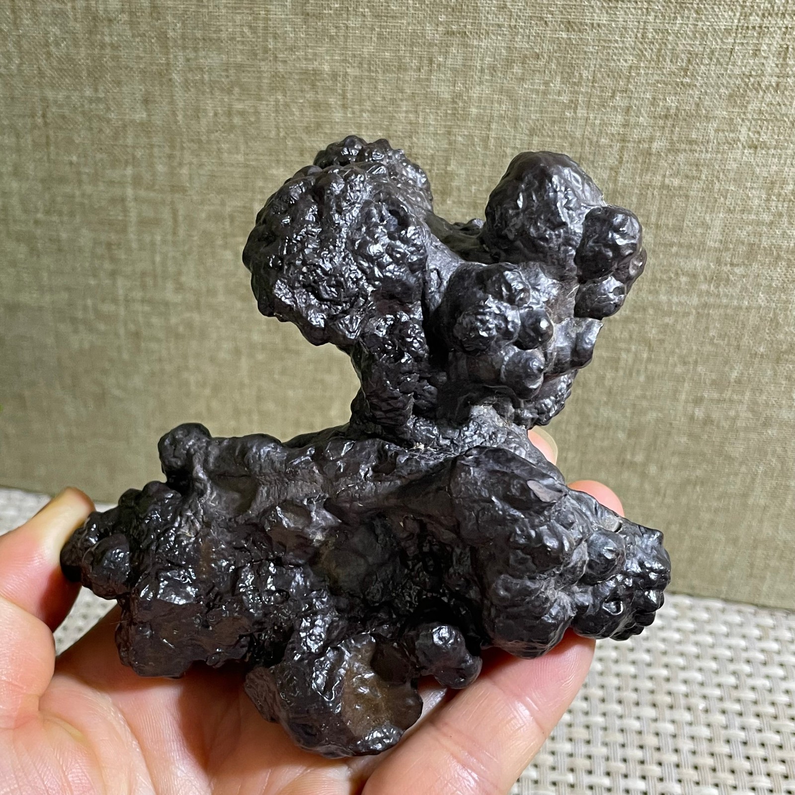 432g Limonite & Hematite pseudomorph after Marcasite Prophecy Rock Stone