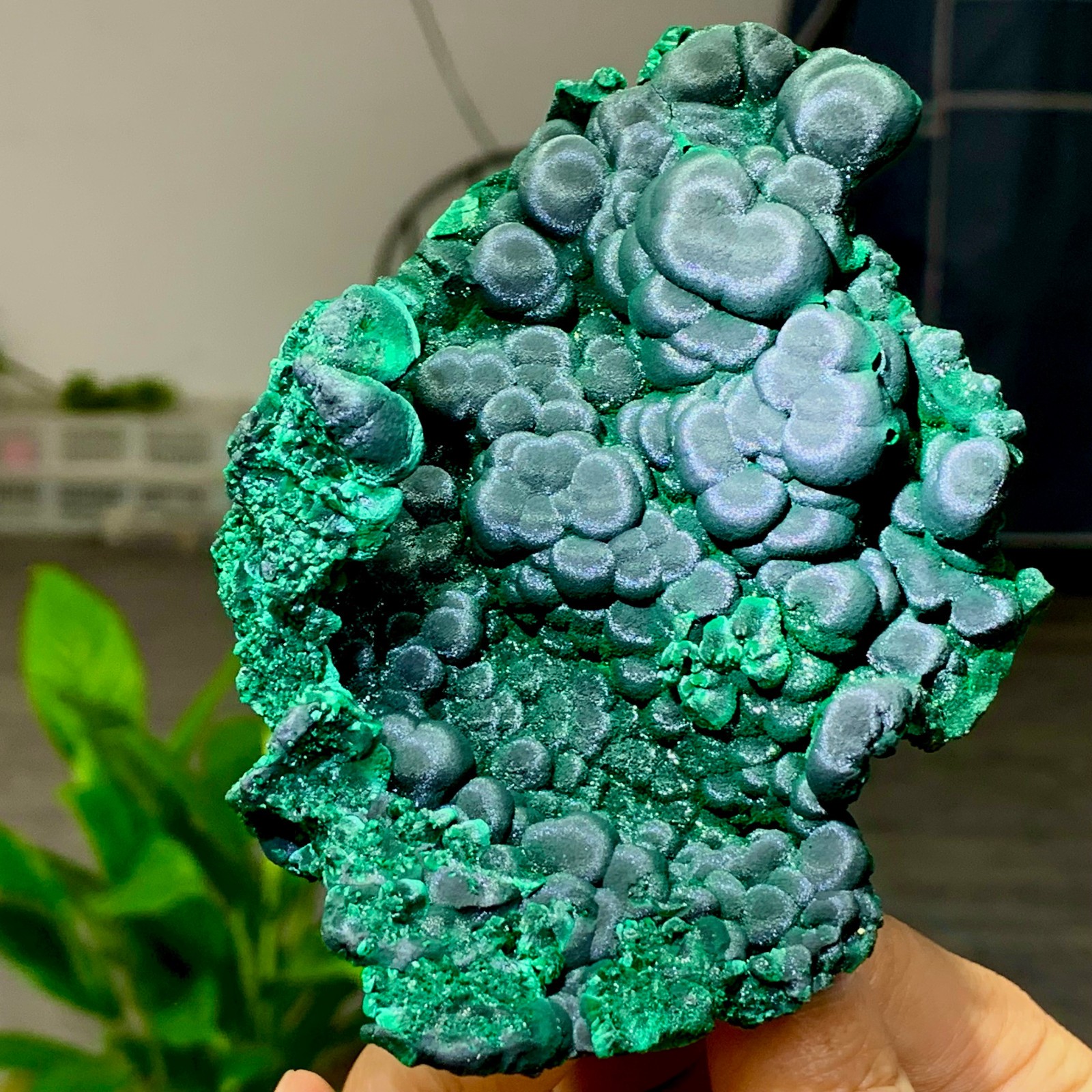 205g Natural glossy malachite cat eye transparent cluster rough mineral Sample