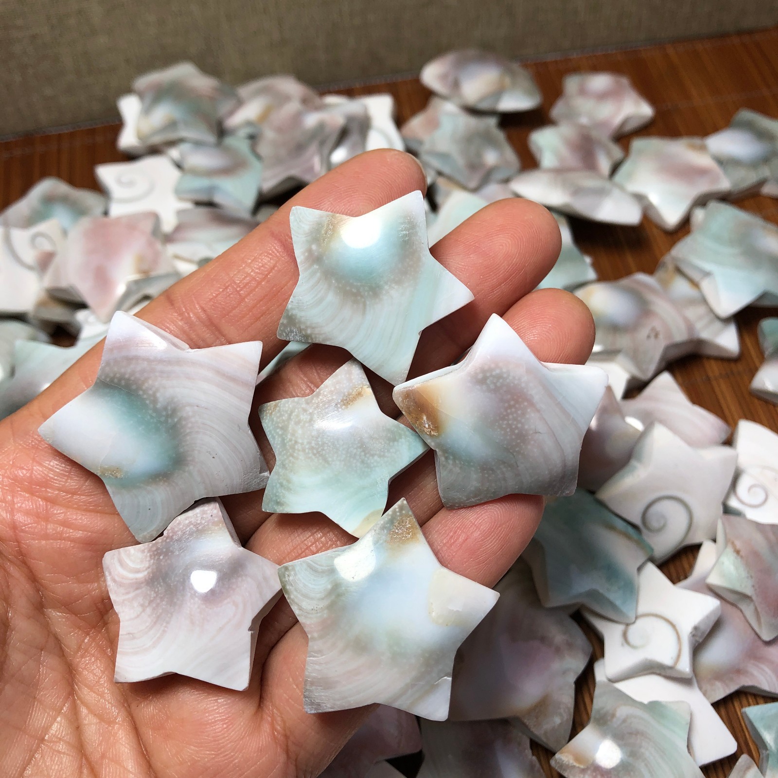 1000g Rare sun shell Reiki Shiva Eye ocean semi-precious stone 100-120pcs A3311