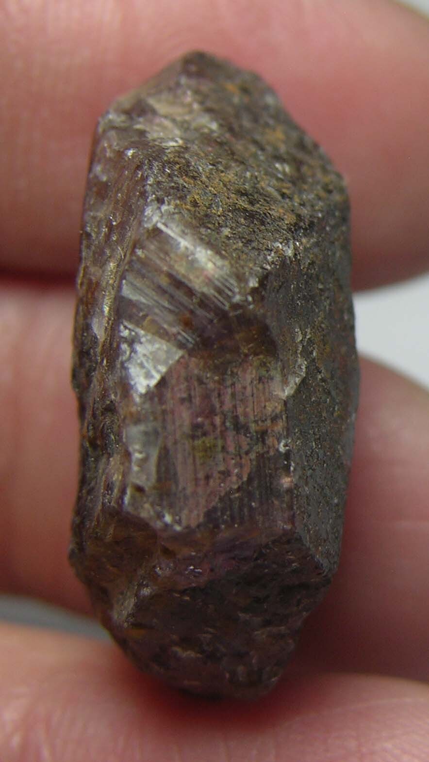32.40ct Brazil 100% Natural Rough Cacoxenite Amethyst Crystal Specimen 6.4g 27mm