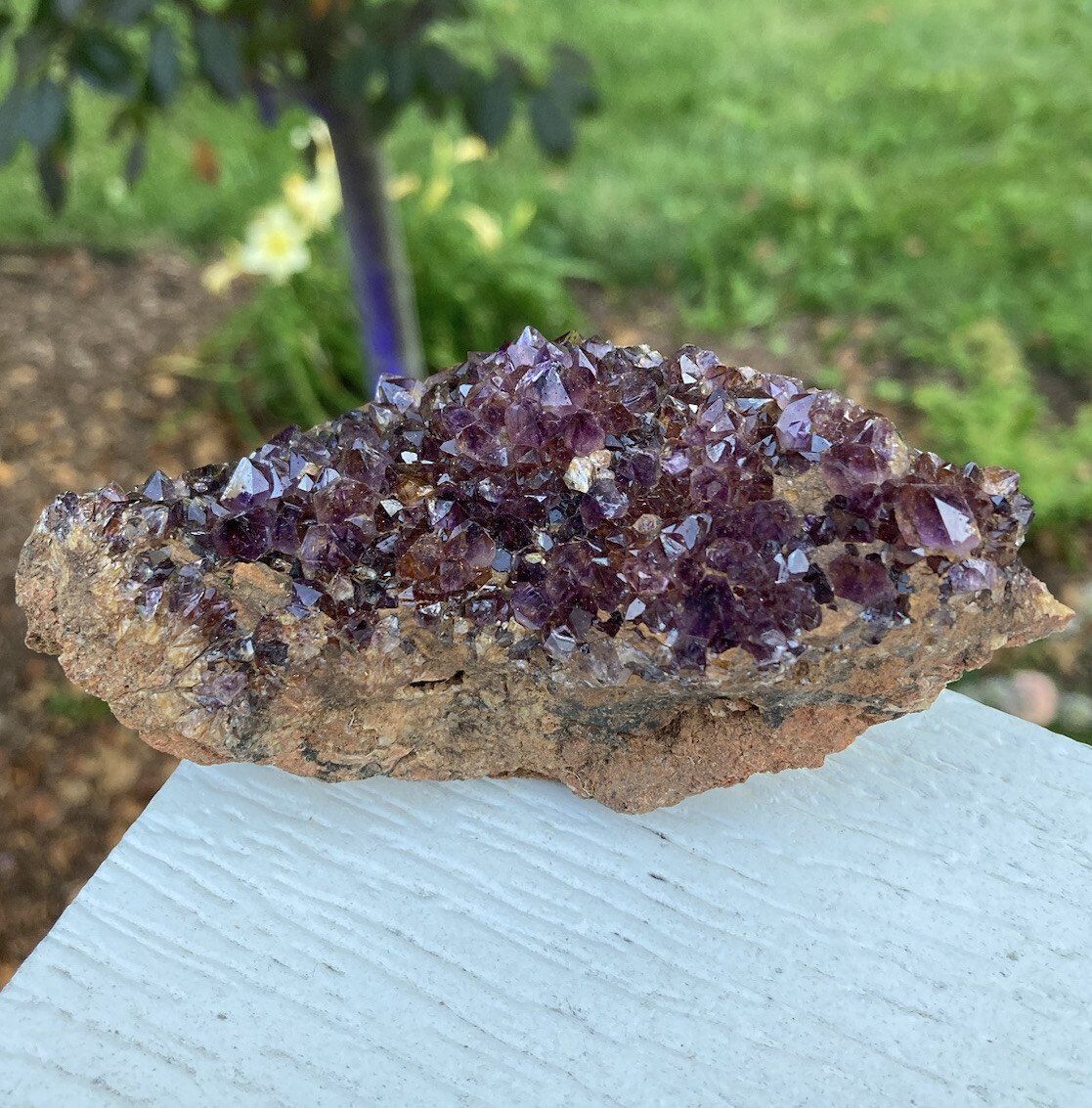 161g XTRA DARK PURPLE AMETHYST SPIRIT QUARTZ Fairy Cactus Crystal Cluster 4″