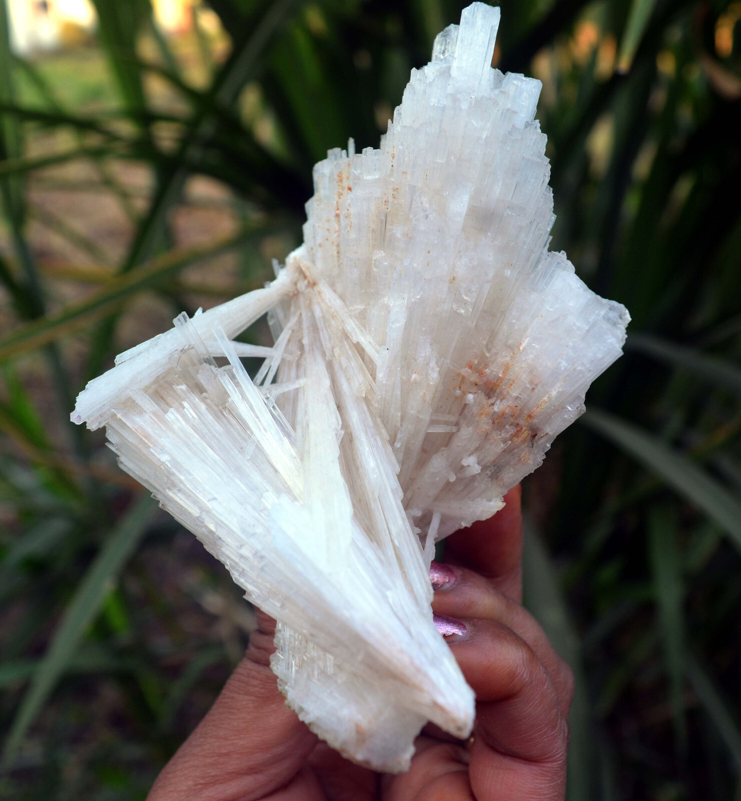 scolecite spray fromation minerals specimen j-6