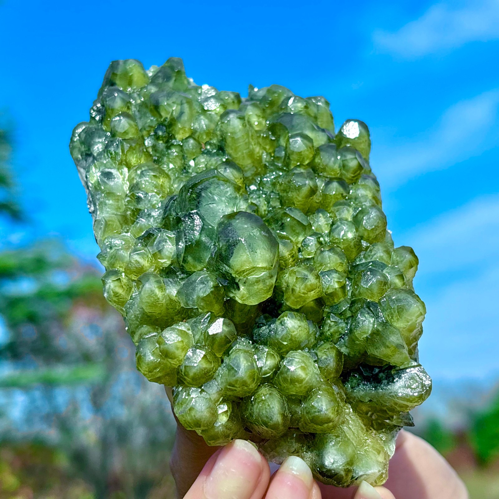 405G Natural Spherical Prehnite Crystal Gem Mineral Specimen&Crystallization