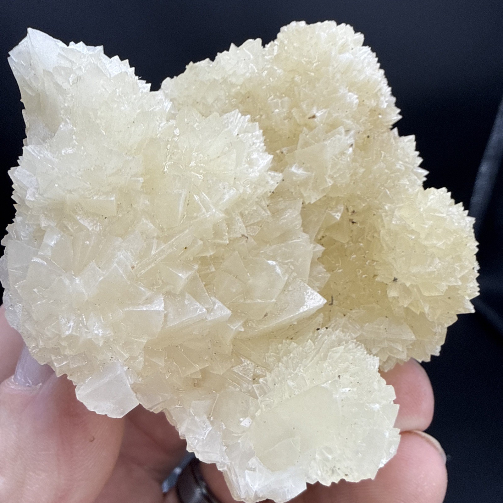 Natural Phosphorescent Honey Dogtooth Calcite Specimen!Amazing Formation! UV👀