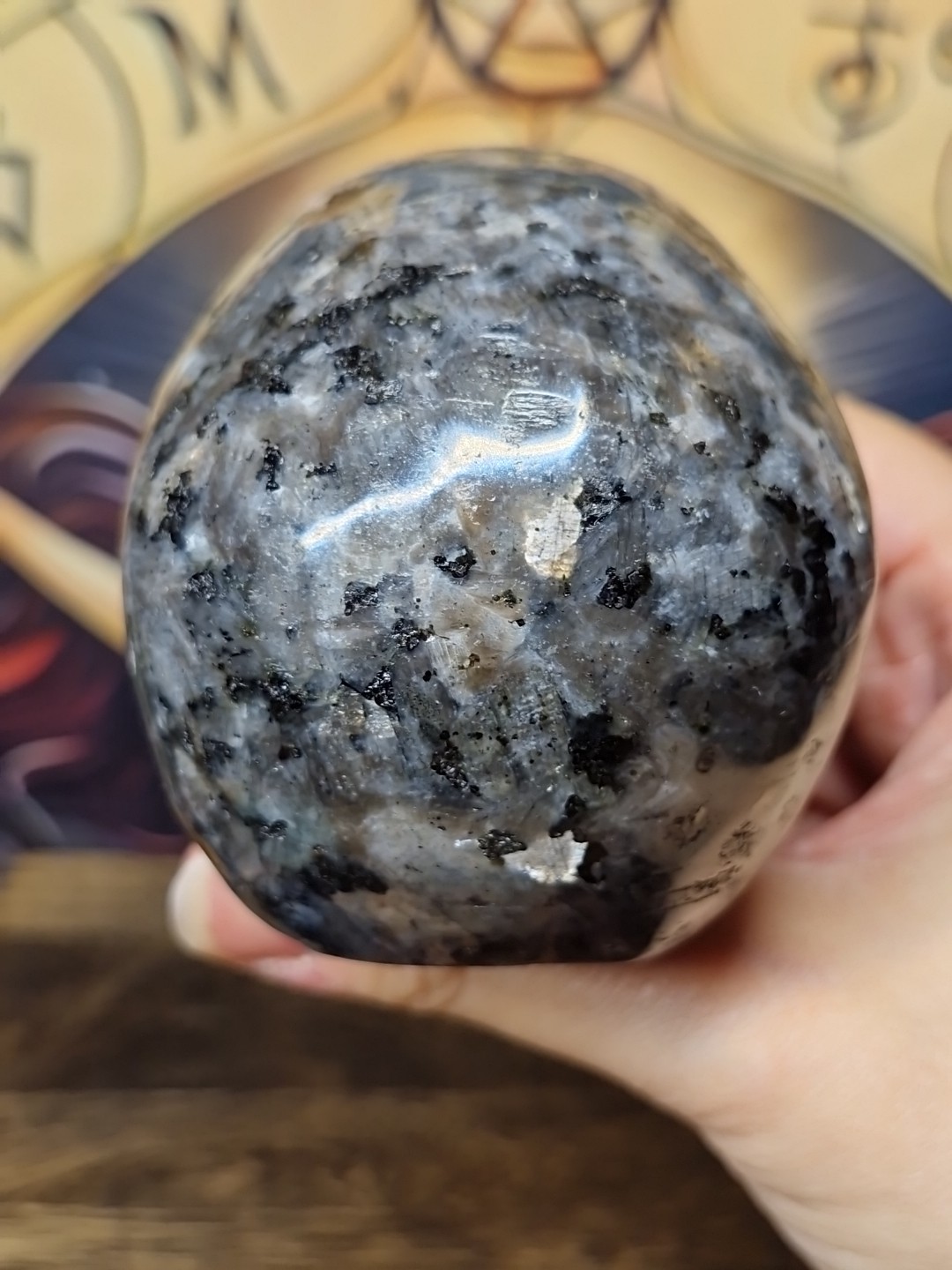Lush Larvikite Aka Black Lab Crystal Human Skull 95x72mm 618g