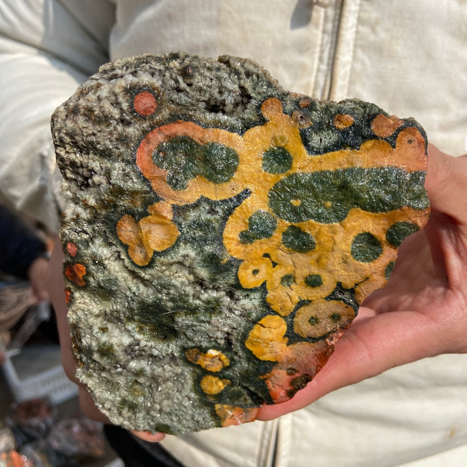 2.5lb Natural colourful ocean jasper raw stone crystal rough mineral specimen