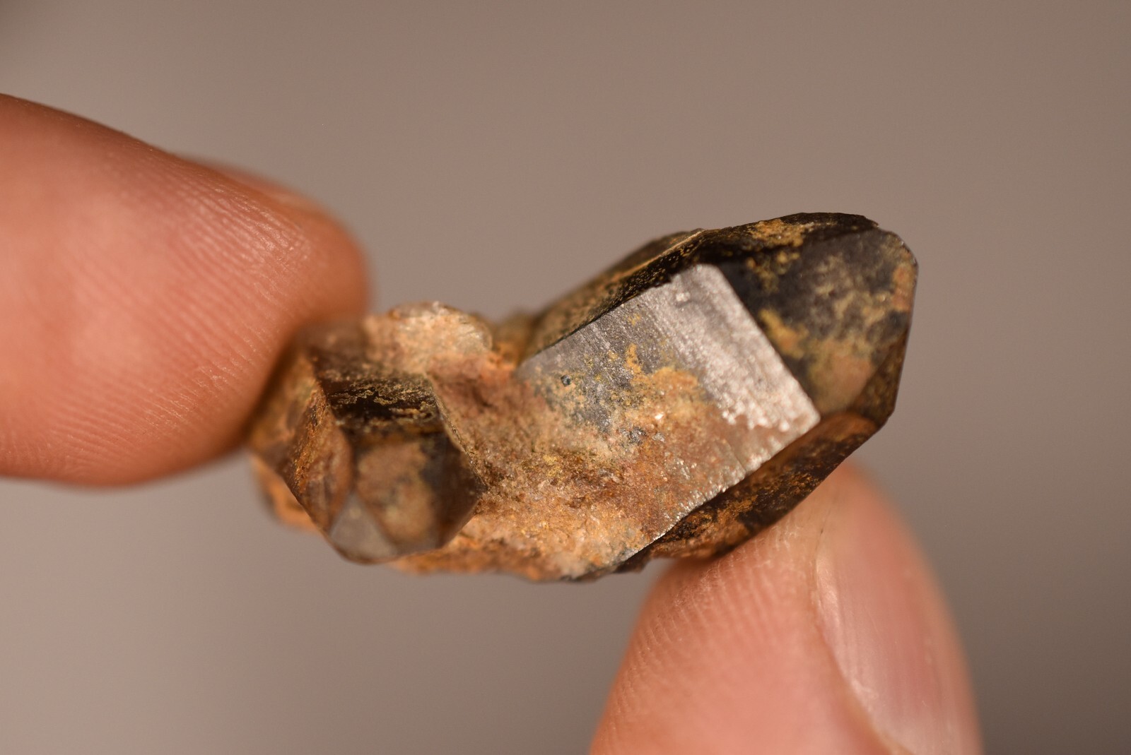 3 *AUSTRALIAN* SMOKEY QUARTZ 2-4cm 19g Natural Crystal Smoky New England NSW