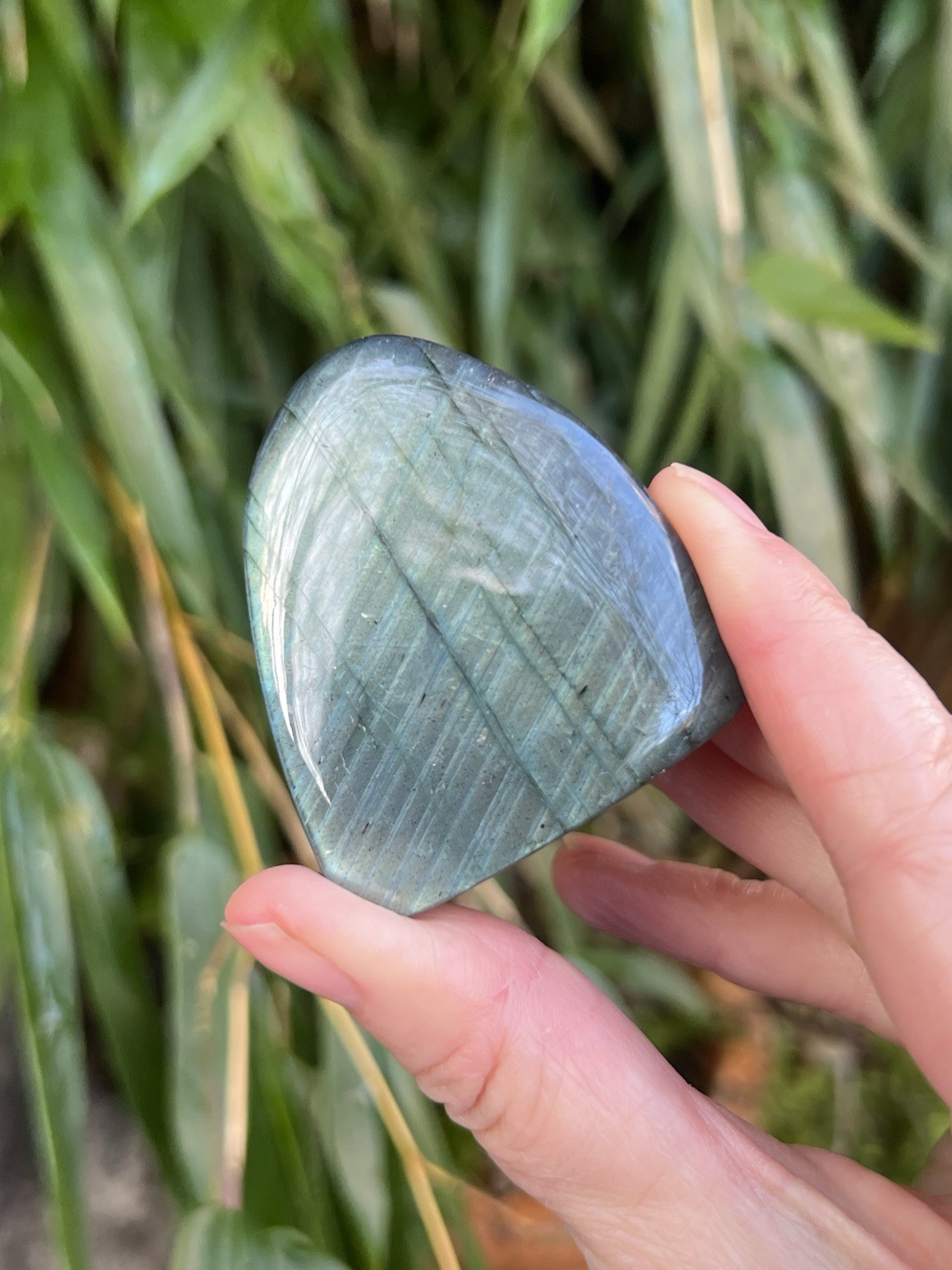 Silver Blue Labradorite Freeform Iridescent Crystal AAA+ 15