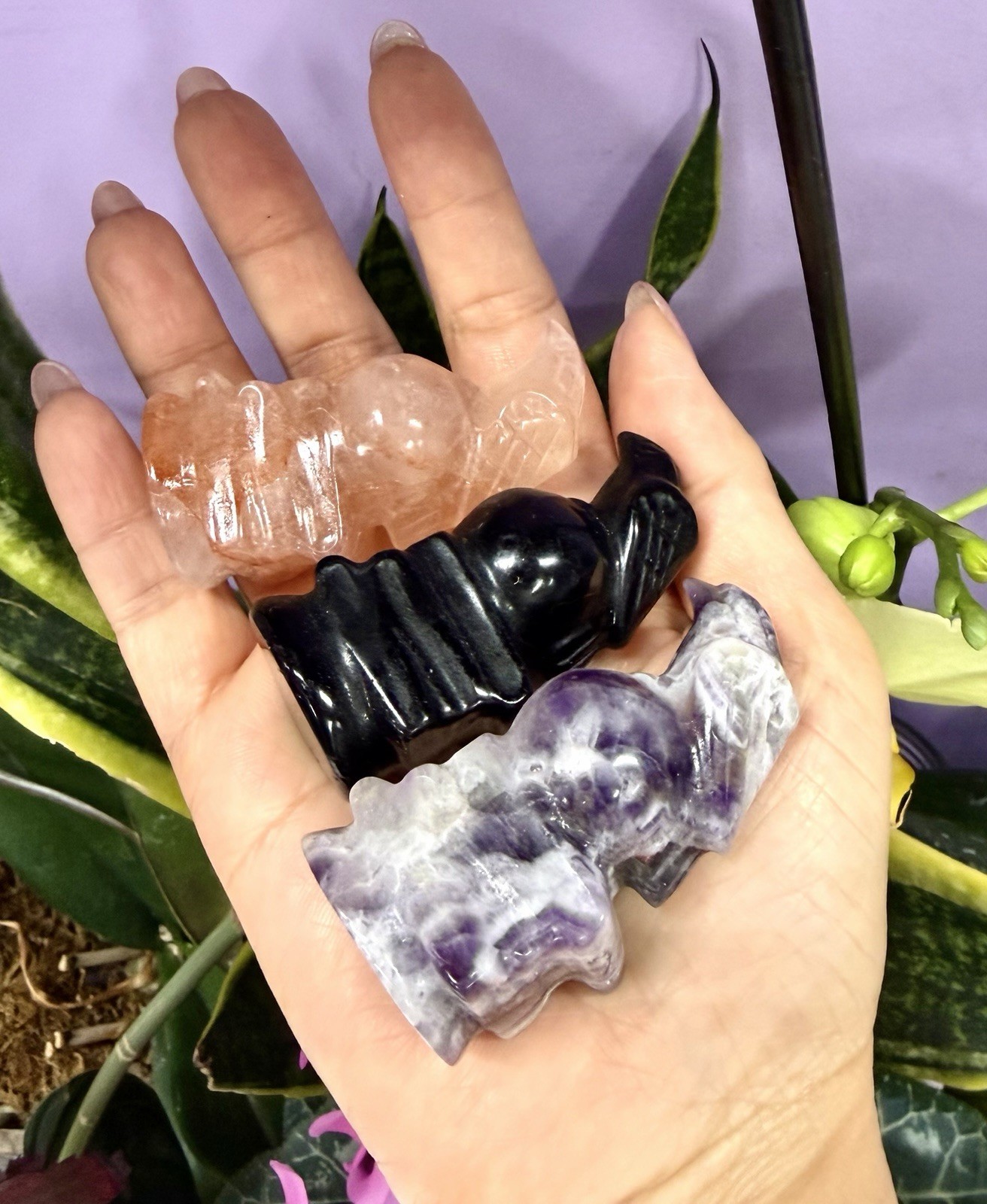 Wholesale Lot 5 PCs Natural Crystal Skull With crow Healing Energy