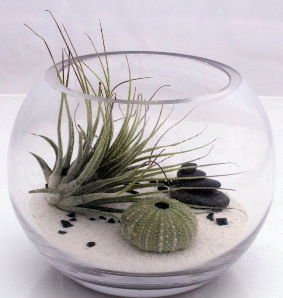 5 lbs. Natural White Beach Sand, Arts and Crafts, Landscaping, DIY Projects