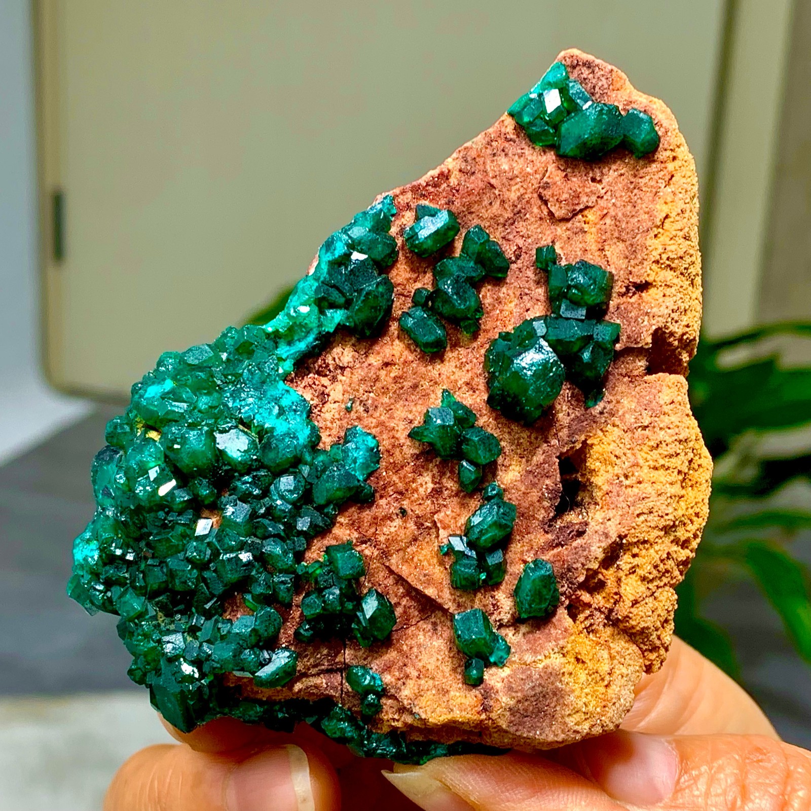 205G Natural Deep Green Grainy dioptase gemstone cluster mineral specimen