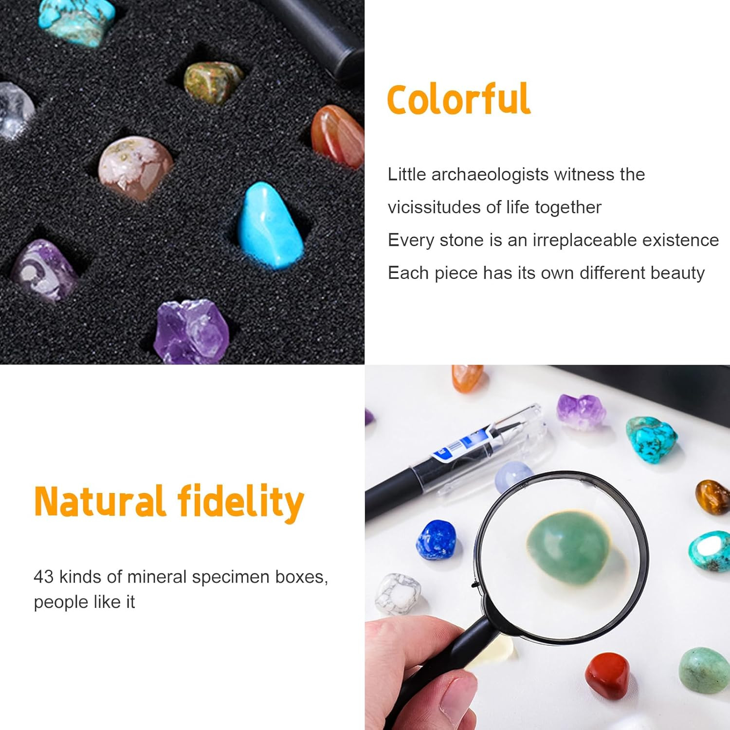 43 Pieces Rock Kit for Geology Enthusiasts | Rock Collection with Mineral Testin