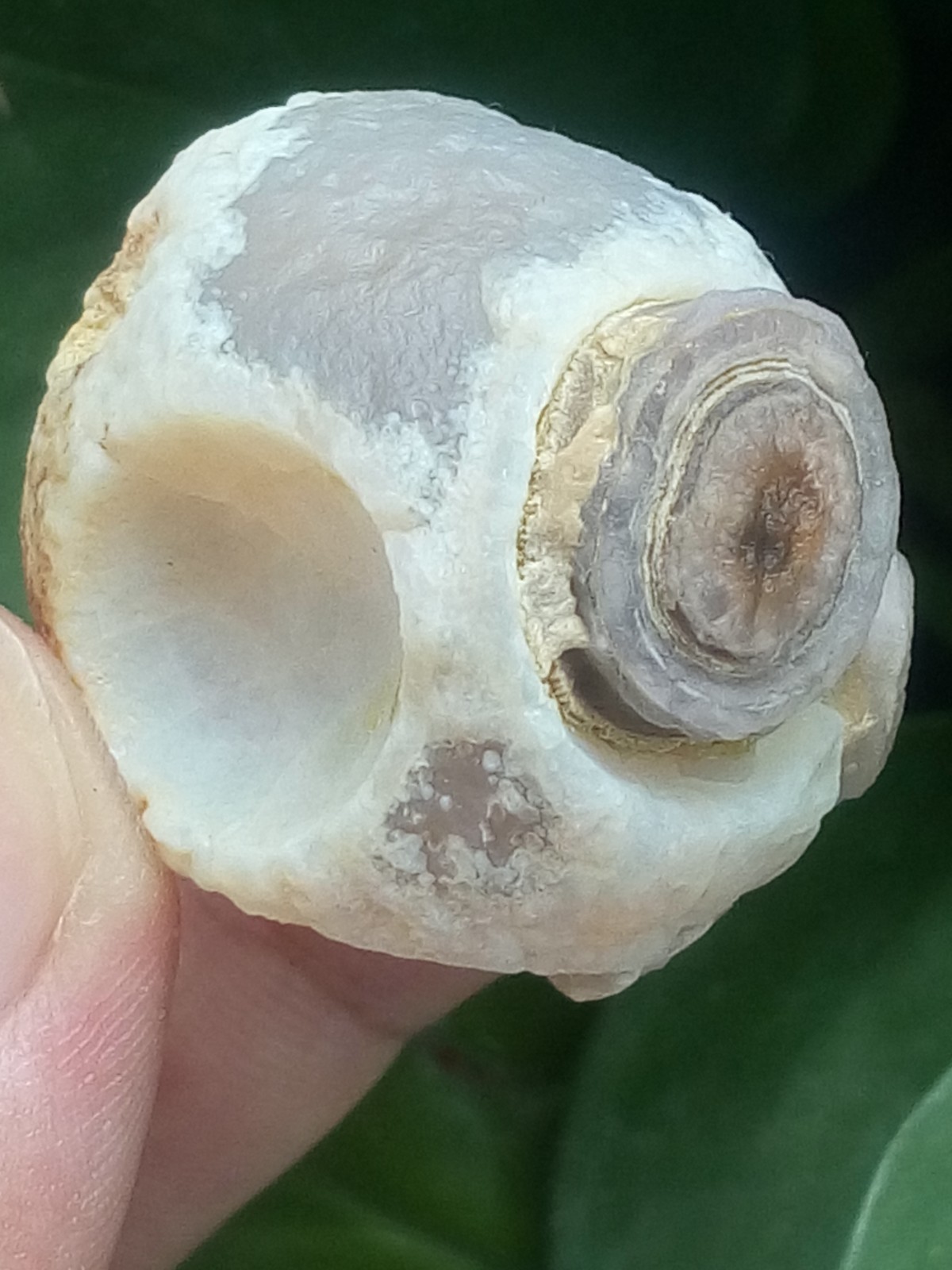 32mm Natural Gobi agate eye agate collection Landscape stone