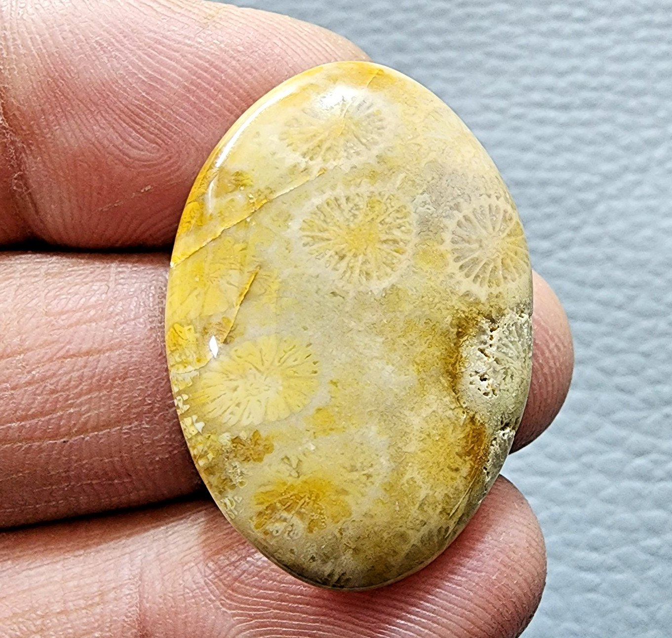 36.60Ct Yellow Fossil Coral Oval Shape Gemstone Cabochon For Jewelry Making