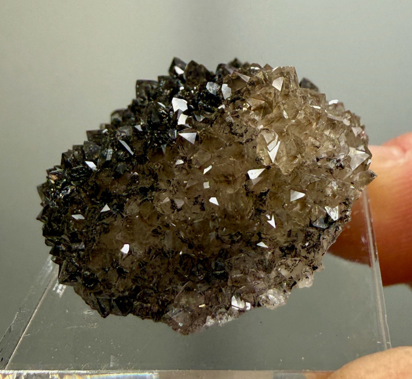 Herkimer Diamond Black + Gray Druze, Gemmy Points w/ Hydrocarbon, Rare Matrix