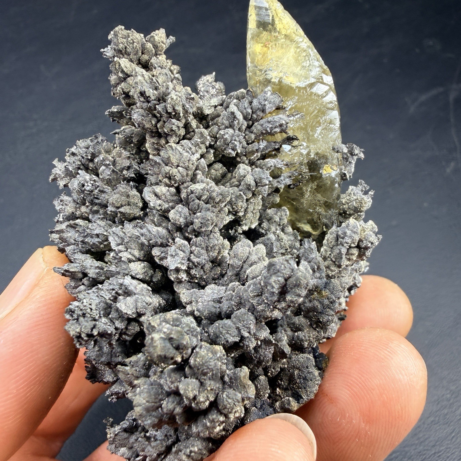 Golden Calcite Crystals on Wild Looking Chalcopyrite Matrix / Missouri *VIDEO*