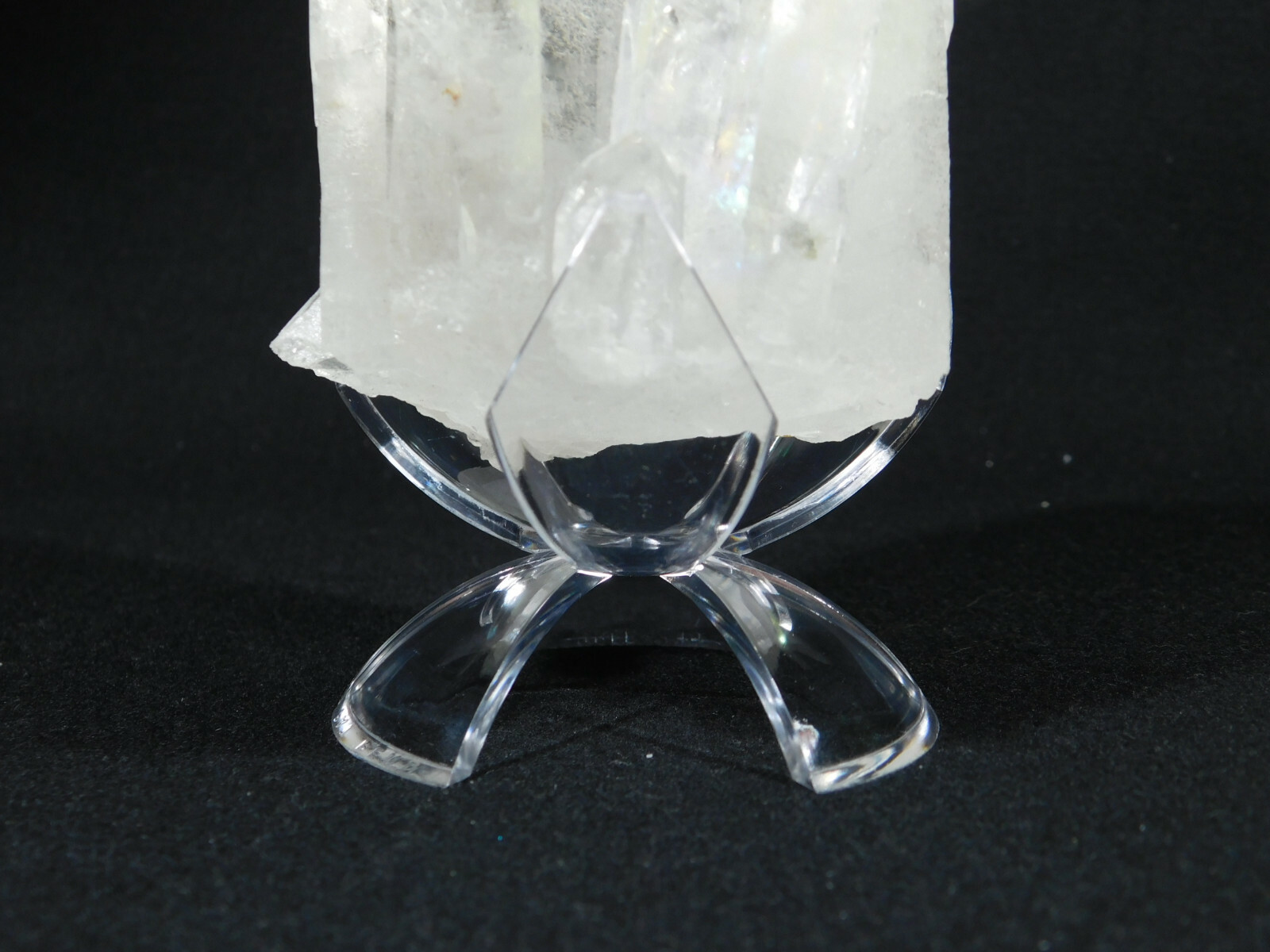 Display Stand TULIP Design Three Prong Large Size Clear Lucite