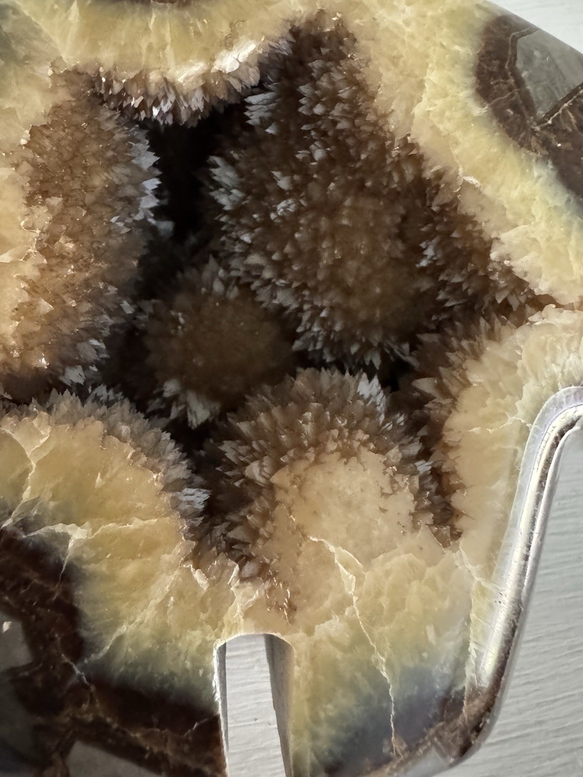 Septarian Nodule Bear Large Figurine Hand Carved Dragon Stone Crystal Sculpture