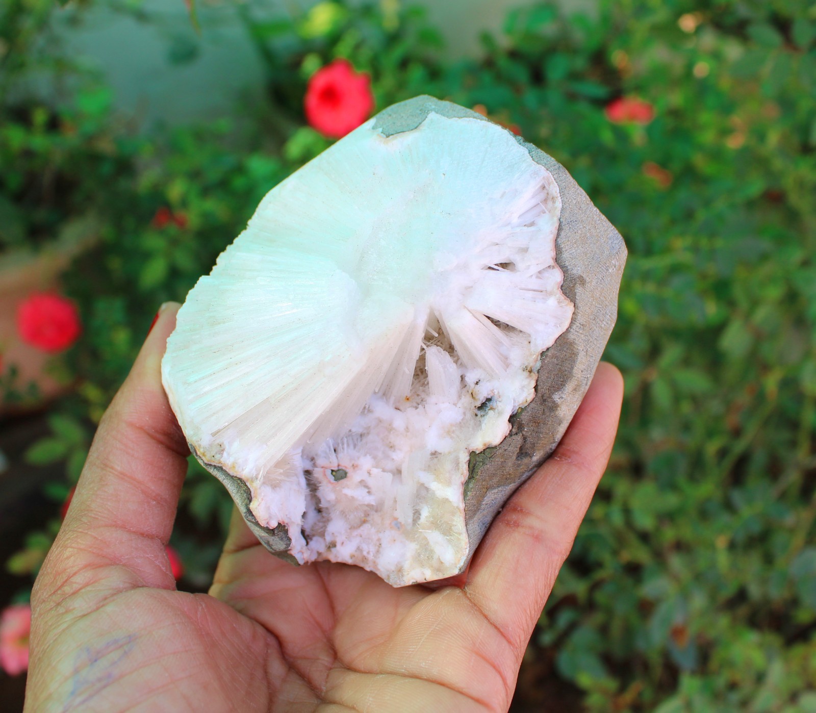 Scolecite In Geode Minerals Specimen#A9