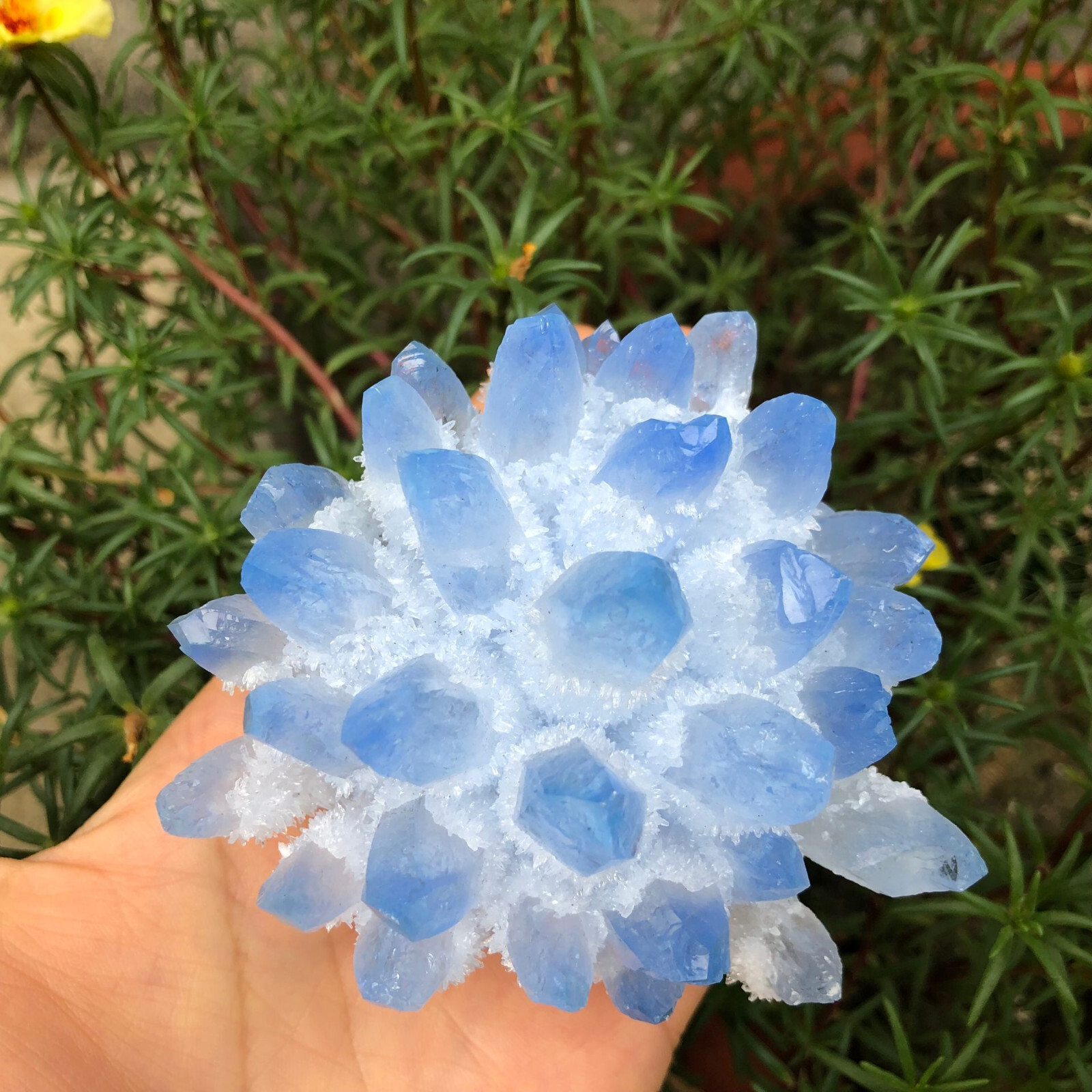 300g+ New Find Blue Phantom Quartz Crystal Cluster Mineral Specimen Healing Gift