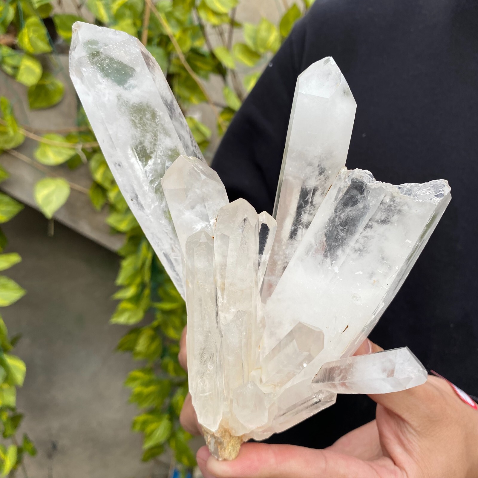 2.3lb Natural Clear White quart Crystal Cluster Raw Healing Specimen