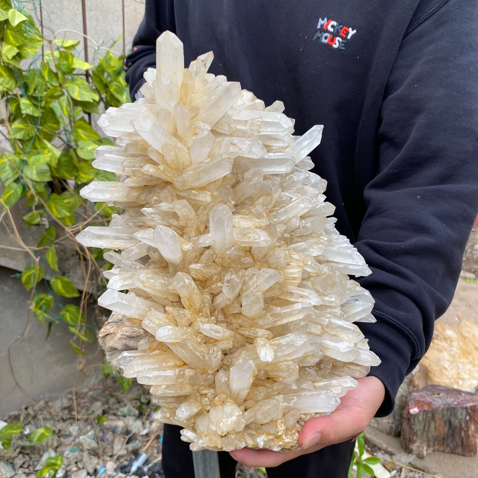 43.9lb Natural Clear White quart Crystal Cluster Raw Healing Specimen