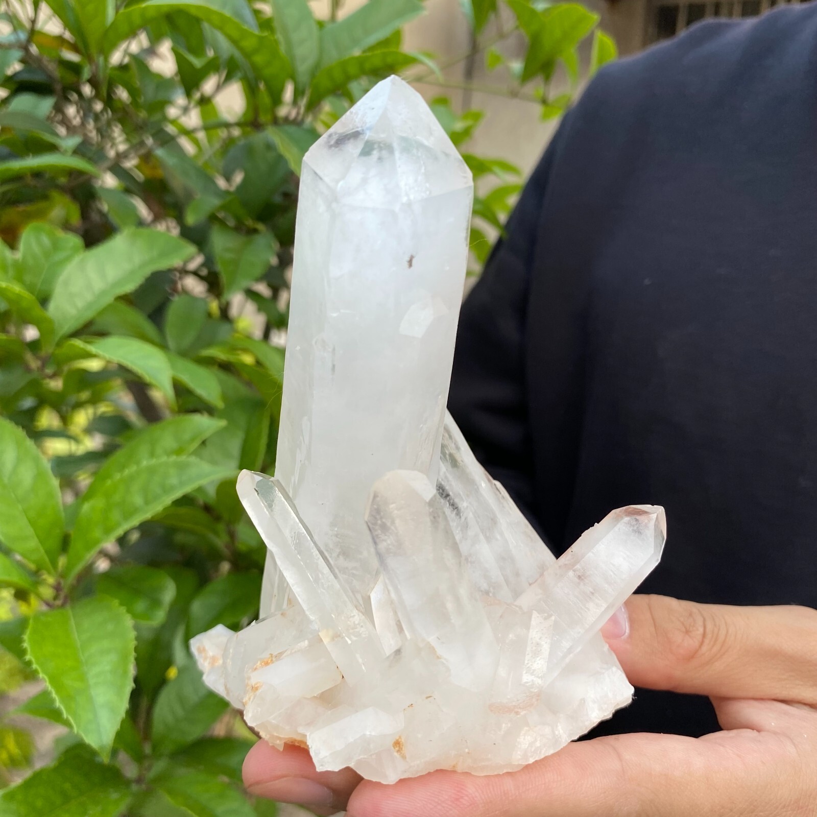 1.1lb Natural Clear White quart Crystal Cluster Raw Healing Specimen