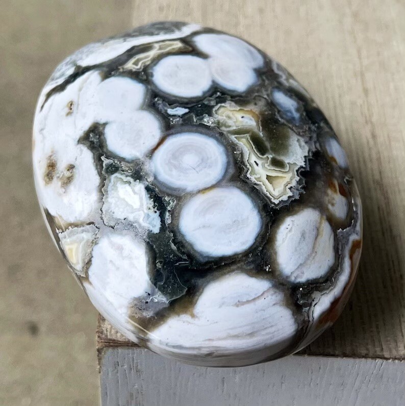 8th Vein Ocean Jasper Big Palmstone with Orbs and Quartz Collectors Crystal