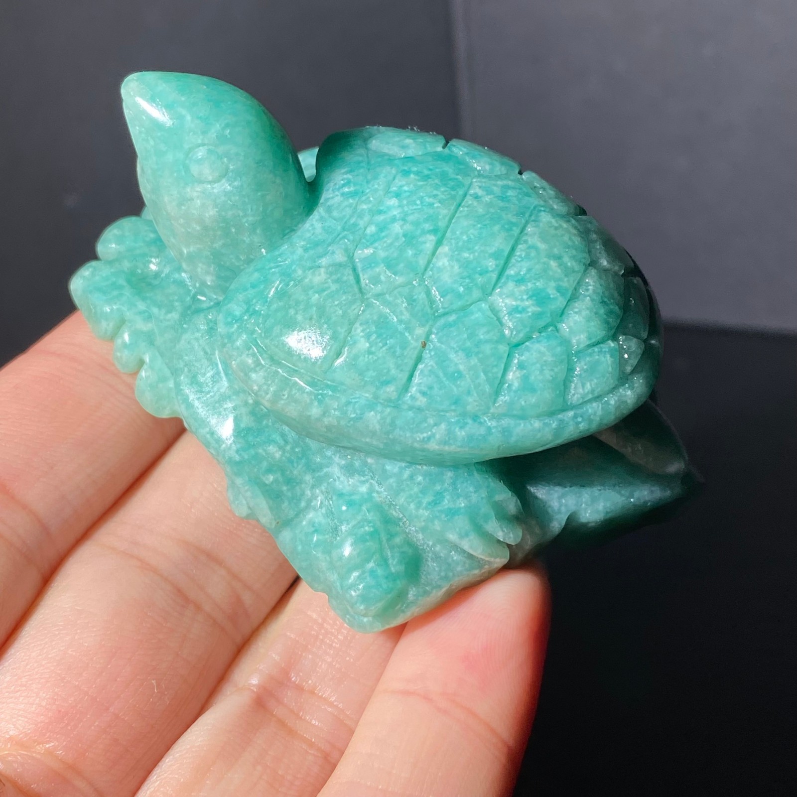 108G Natural Tianhe stone Turtle Quartz Tortoise Carved Crystal Skull Healing