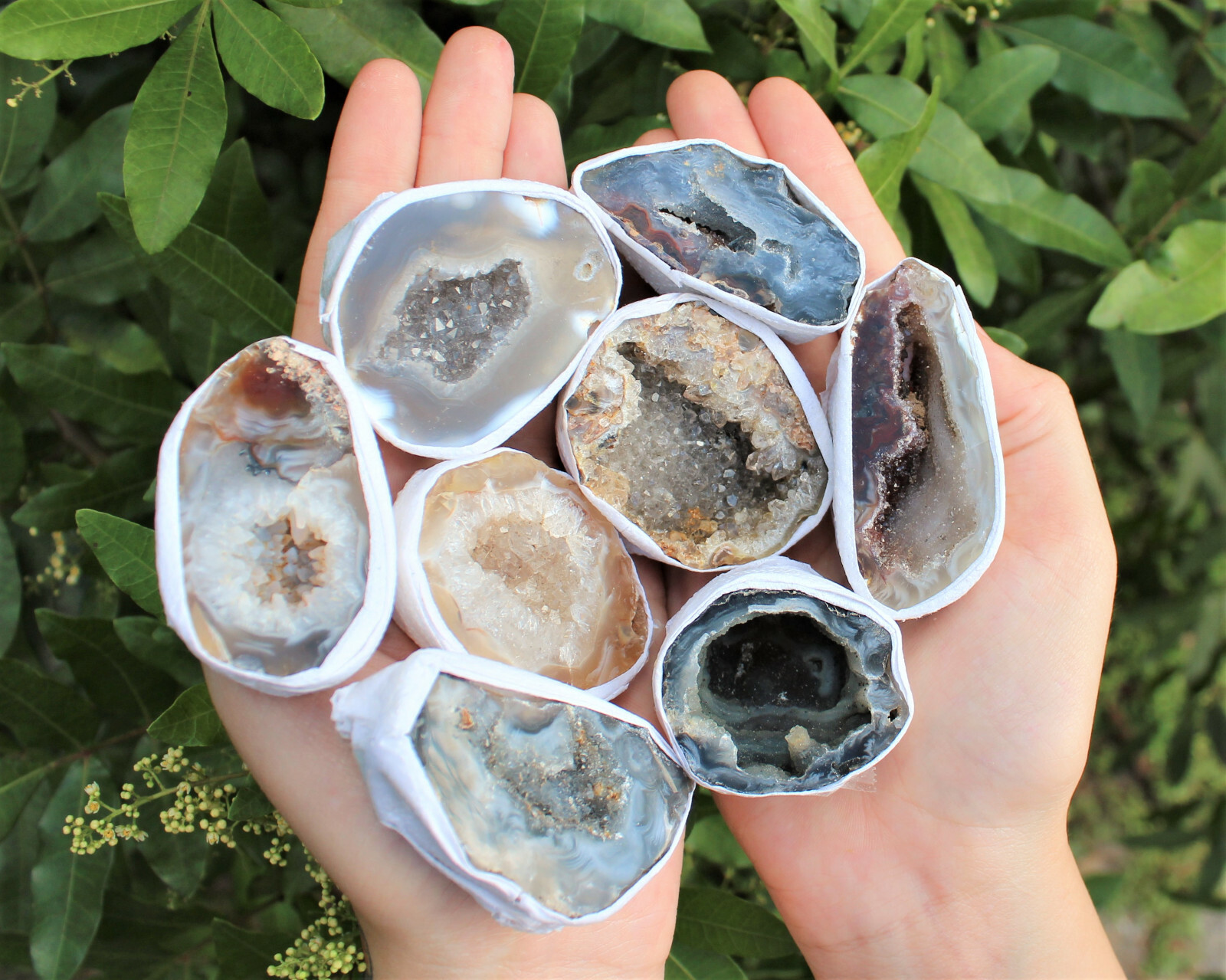 Large Oco Agate Geodes, Natural Crystal Druzy Halves: Choose How Many Pieces!