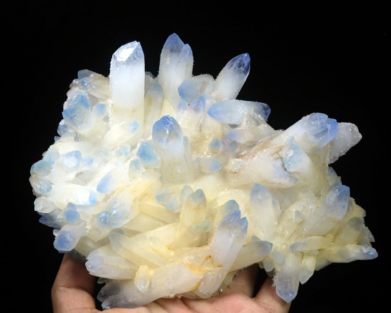 2.45 lb Rare Beatiful Blue Tibetan Ghost phantom Quartz Crystal Cluster Specimen