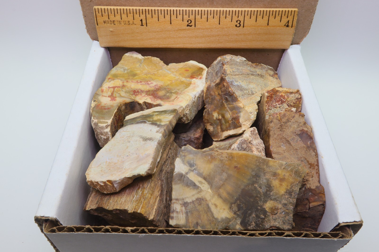 Petrified Wood 1 Lb Rough Natural Stones Bulk Wholesale Raw Mineral Specimens