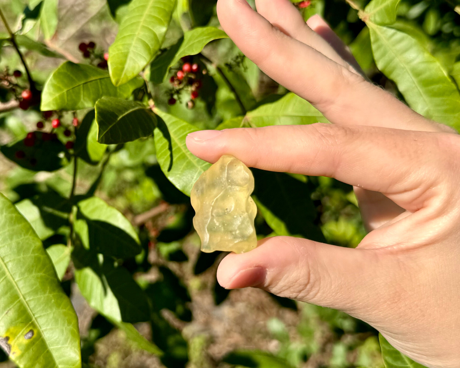 Natural Libyan Desert Glass – 100% Genuine Premium Quality Libyan Gold Tektite