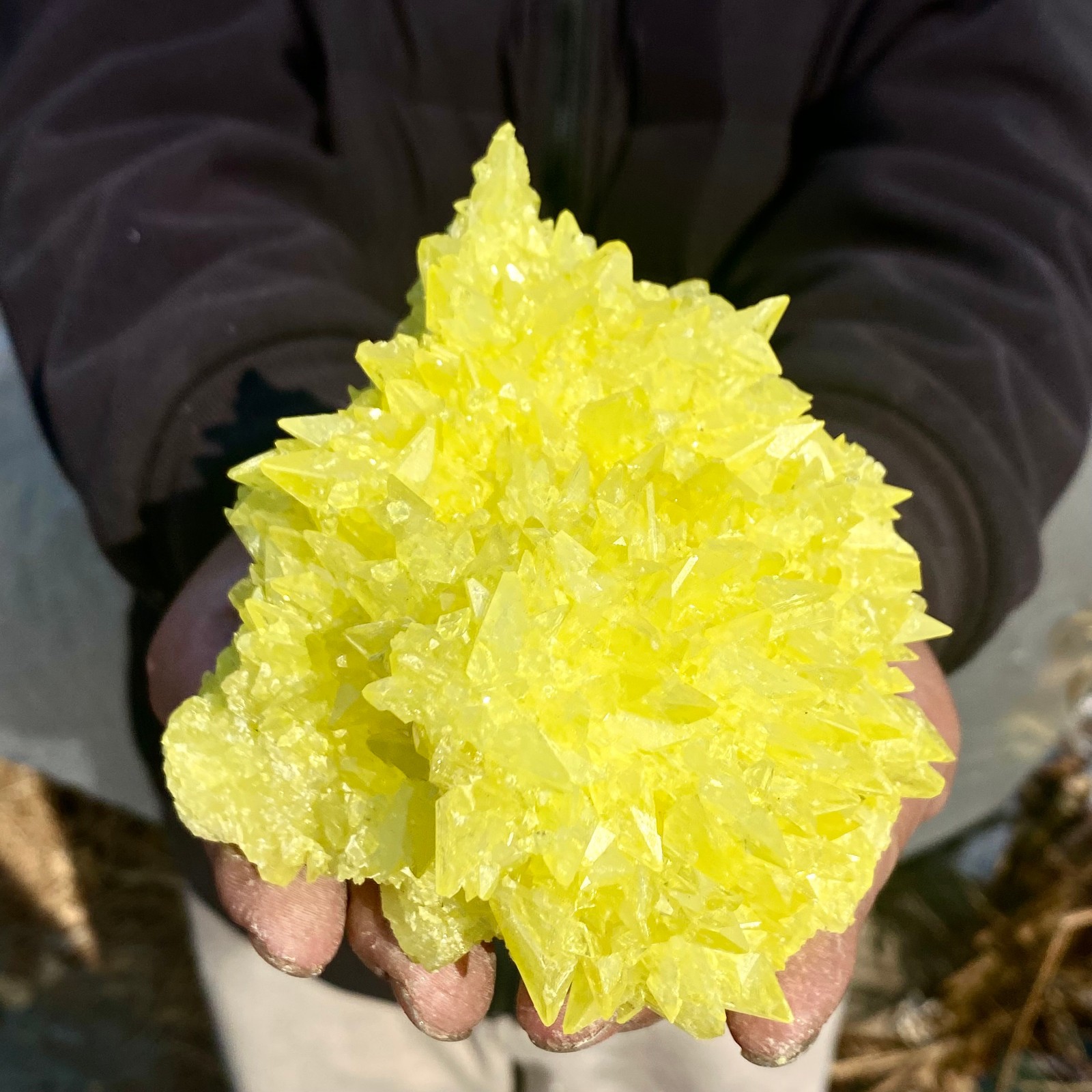 1.4LB Minerals ** LARGE NATIVE SULPHUR OnMATRIX Sicily- FREE.