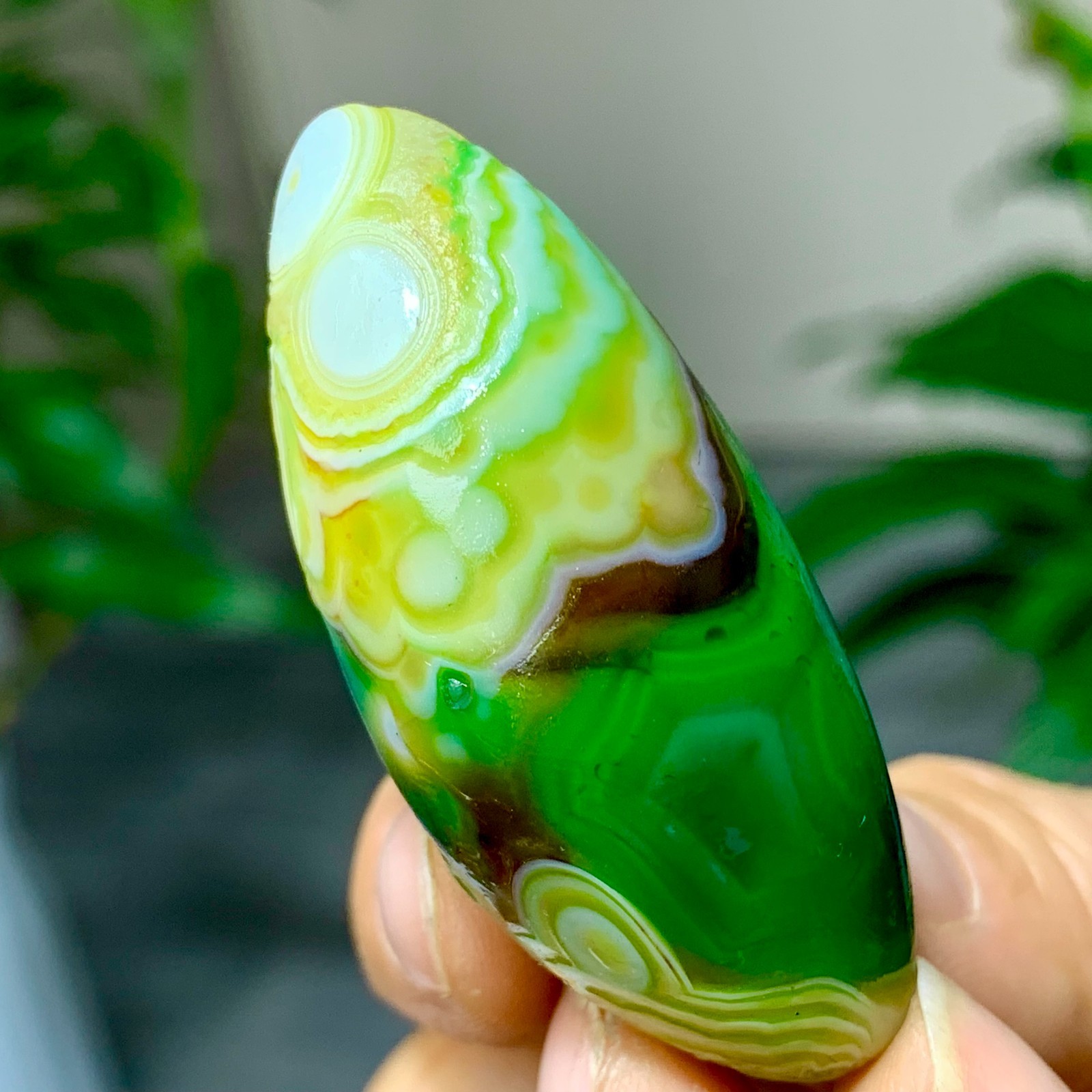 28G Natural green gobi agate eye crystal Circular pattern mineral healing B205