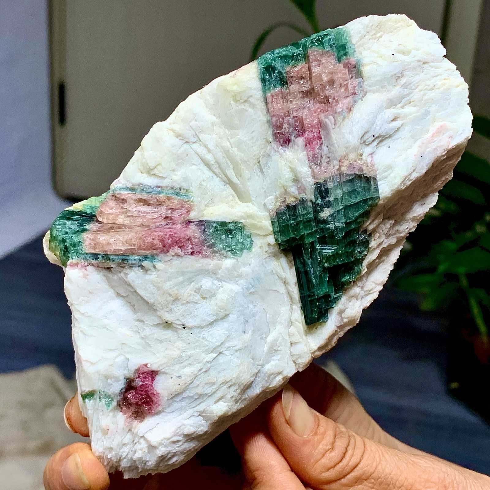 449G Natural pink-green tourmaline quartz crystal cluster mineral specimen