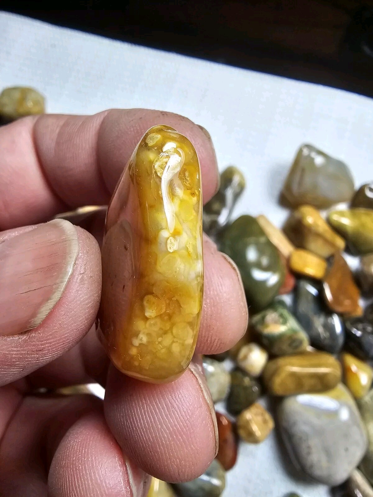 5 Oz. Bulk Mixed Tumbled Stones Agate Chalcedony Jasper Petrified Wood And More