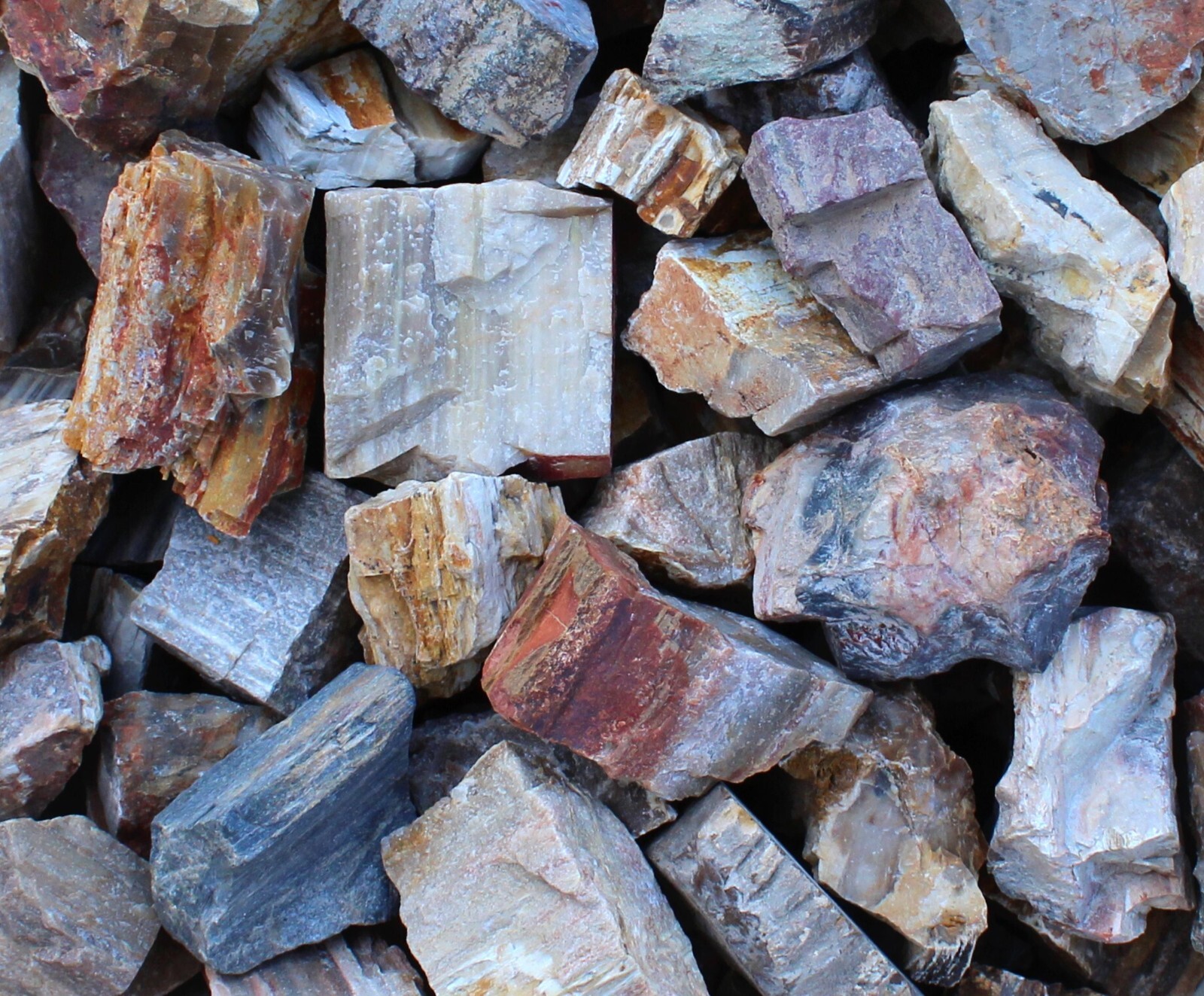 Petrified Wood – Large Rough Rocks for Tumbling – Bulk Wholesale 1LB options