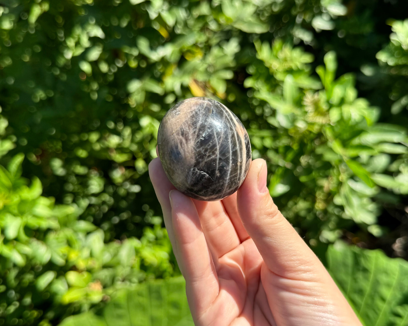 Black Moonstone Hand Polished Palm Stone, ‘A’ Grade Black Moonstone Pebble