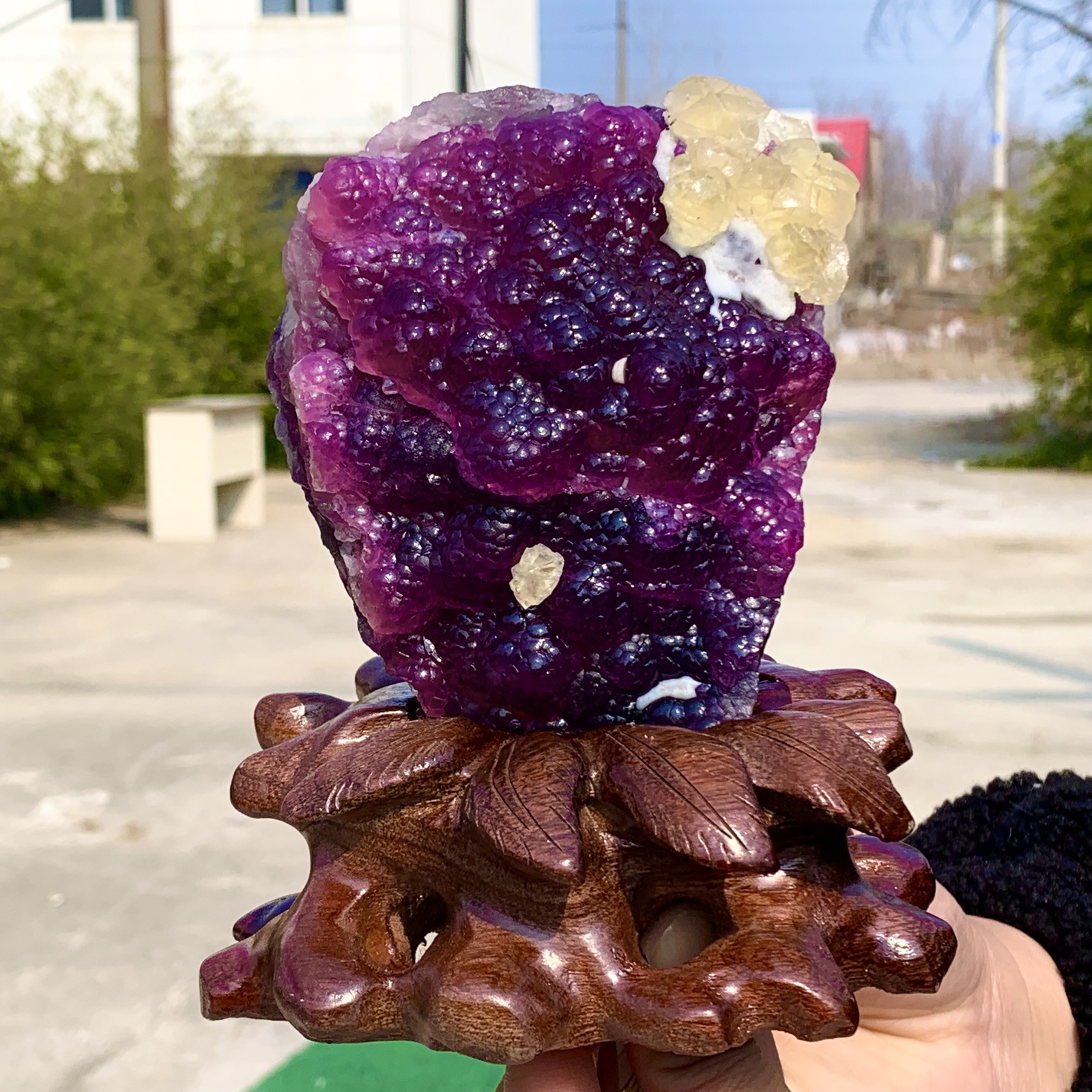 2.40LB Complete rare and gorgeous purple fluorite from Inner Mongolia, China