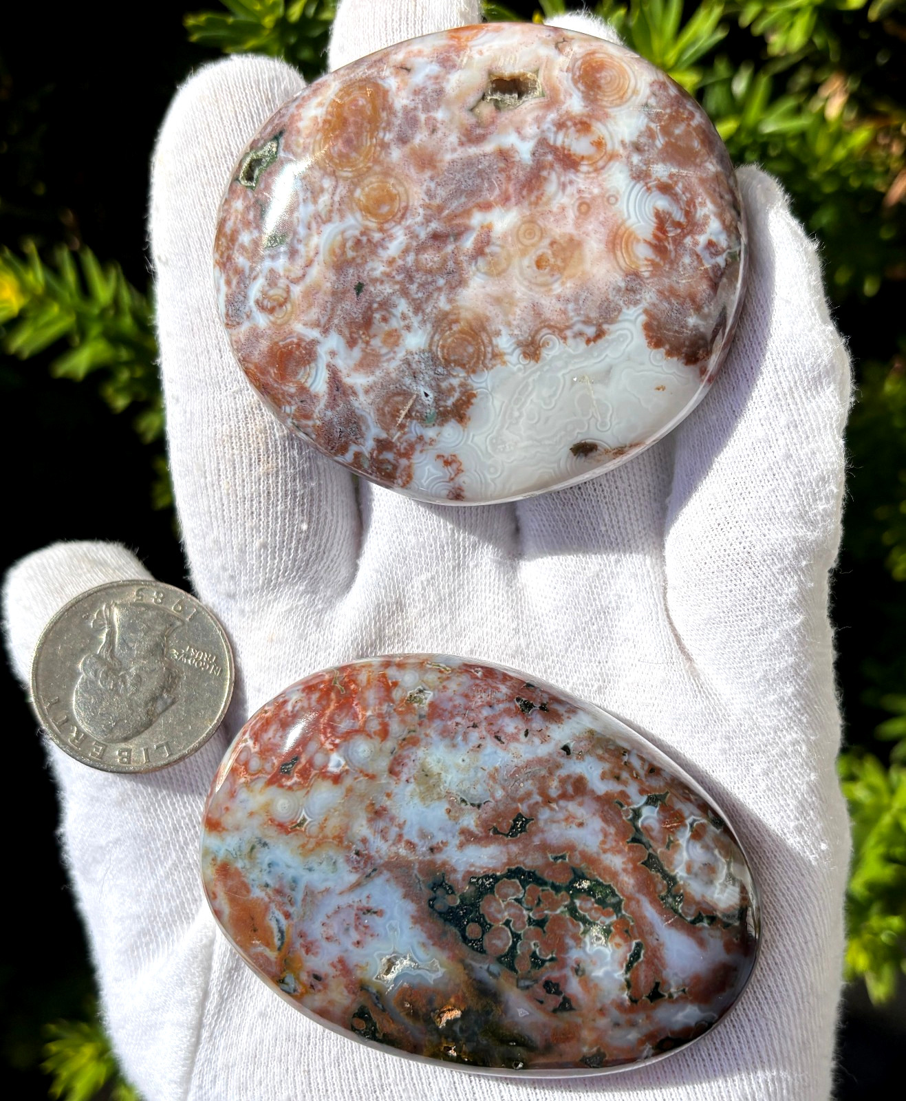 188g LOT 2 OCEAN JASPER 8th VEIN 8 PALMSTONE OJ PALM STONES STONE