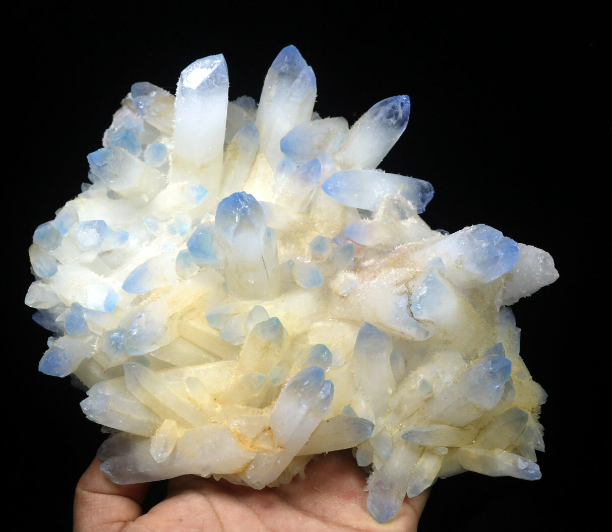 2.45 lb Rare Beatiful Blue Tibetan Ghost phantom Quartz Crystal Cluster Specimen