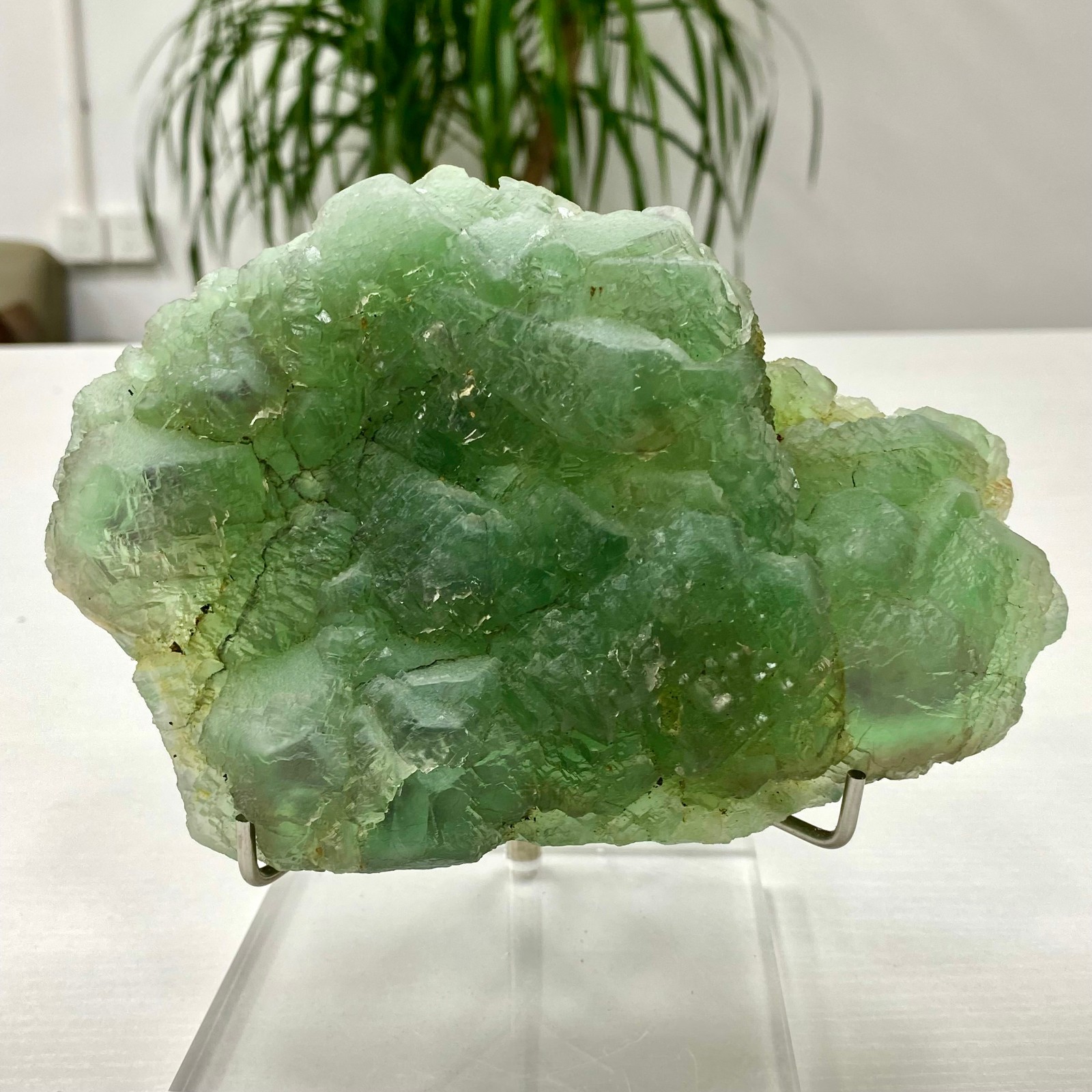 3.64LB Natural transparent green cubic fluorite mineral crystal sample/China