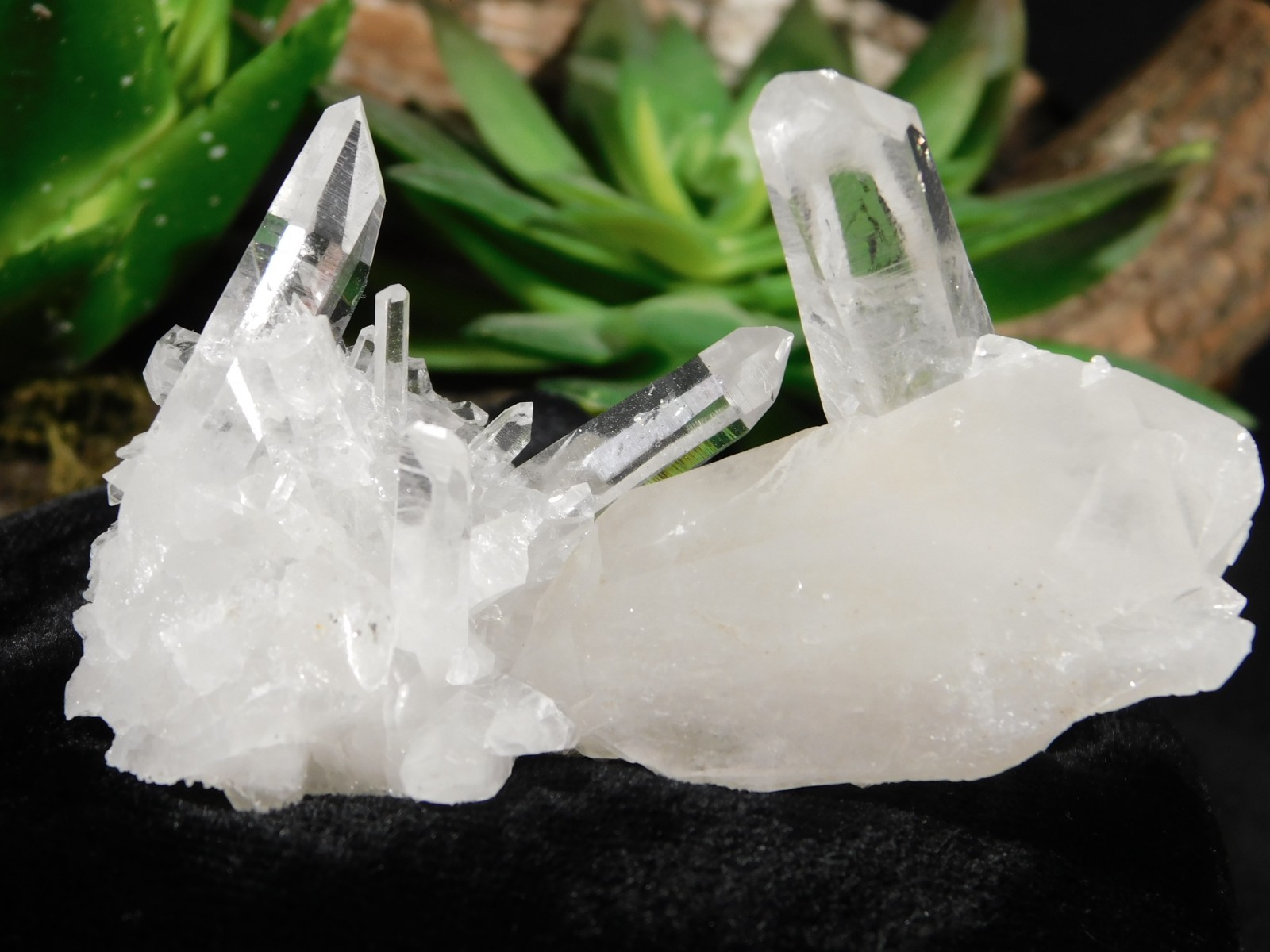 SUPER! TRANSLUCENT Quartz Crystal Cluster Collier Creek ARKANSAS 78.5gr