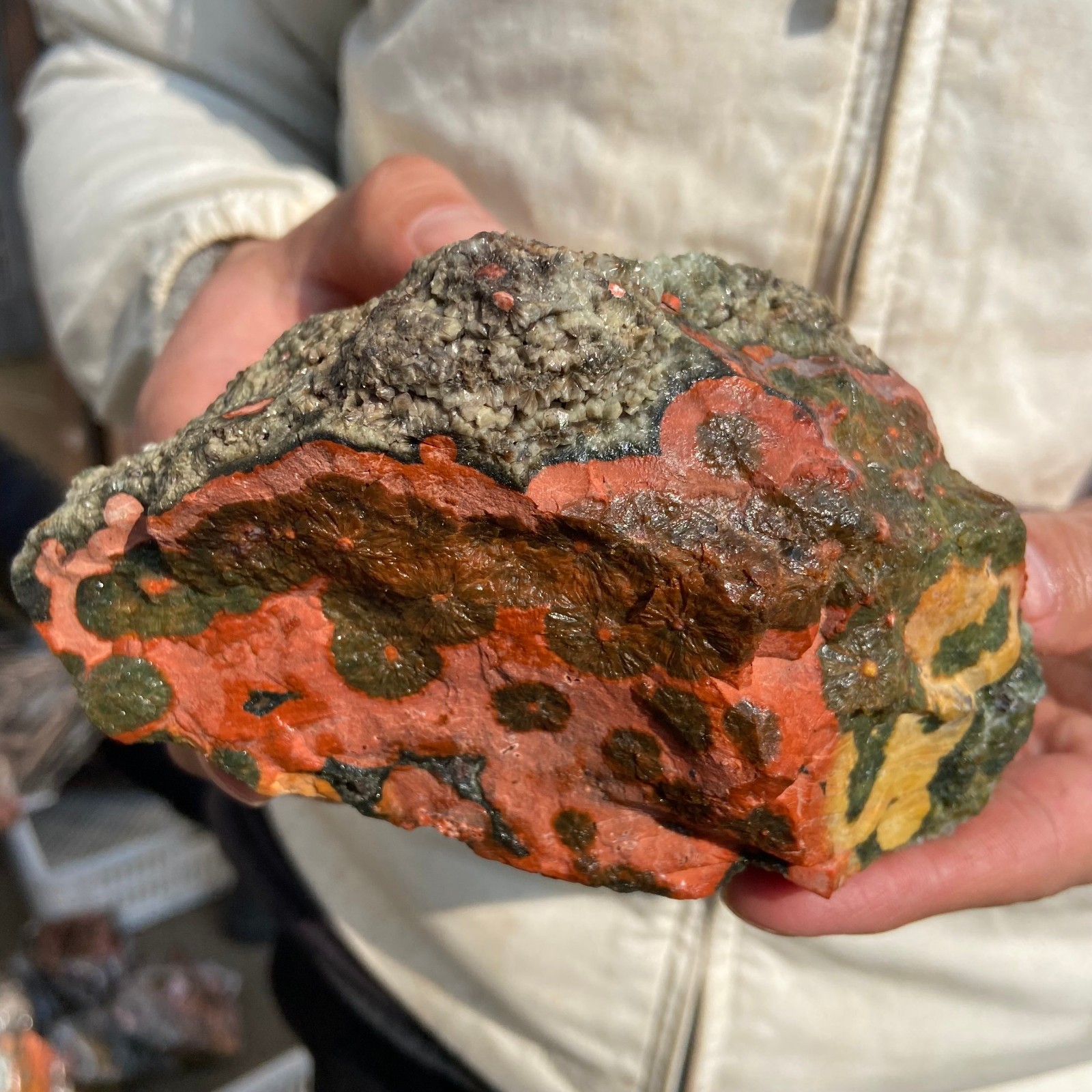 2.5lb Natural colourful ocean jasper raw stone crystal rough mineral specimen
