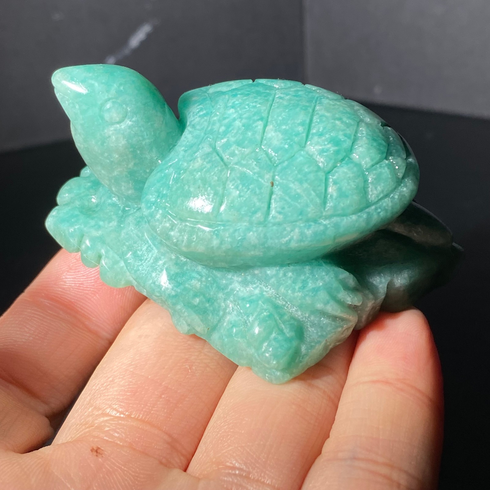108G Natural Tianhe stone Turtle Quartz Tortoise Carved Crystal Skull Healing